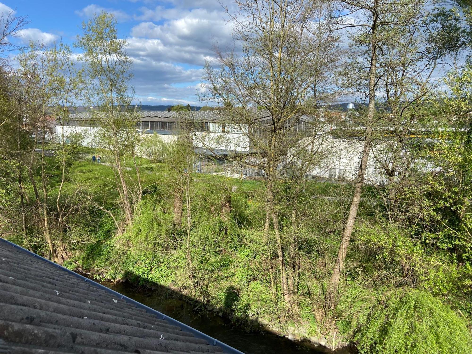 Ferienwohnung Am Erbacher Muemlingufer Erbach  Екстериор снимка